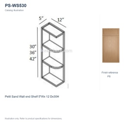 PS-WS530