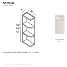 AZ-WS536