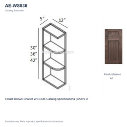 AE-WS536