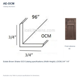 AE-OCM