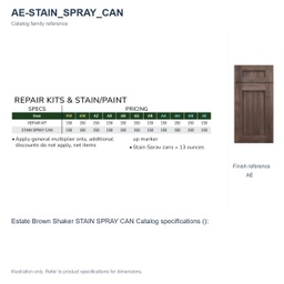 AE-STAIN_SPRAY_CAN