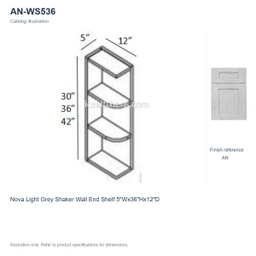 AN-WS536