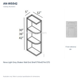 AN-WS542