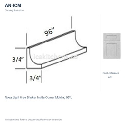 AN-ICM
