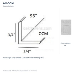 AN-OCM