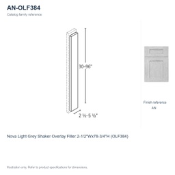 AN-OLF384