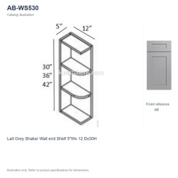 AB-WS530
