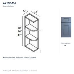 AX-WS530