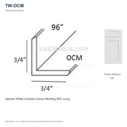 TW-OCM
